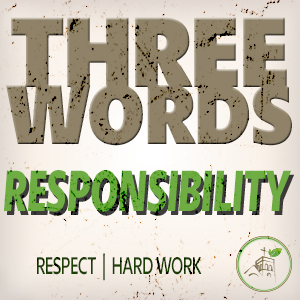 Three Big Rules-Responsibility