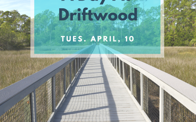 A Day at Driftwood