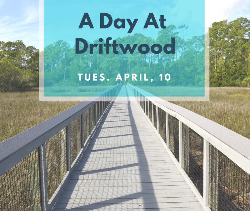 A Day at Driftwood